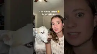 How to make Yuki happy tutorial😂 