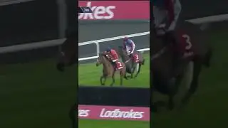 Horse produces best jump ever!