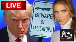 'Alligator Moat' at the Border?! - Internet ERUPTS 😂