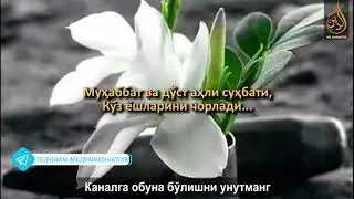 NASHIDA ( YA IXVATIY ) || НAШИДA ( Я ИХВAТИЙ )