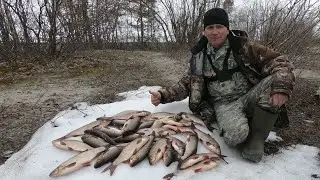 ЯЗЬ ПОШЁЛ, А ПОПЛАВОЧКА ТУТ КАК ТУТ)! НА РЫБАЛКЕ ВЕСНОЙ РАБОТАЕТ ПОПЛАВОК НА ЯЗЯ! ЛЕТНЯЯ РЫБАЛКА 21!