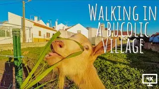 🇵🇹 Walking in a small and charming village | Portugal, 4K UHD | ASMR