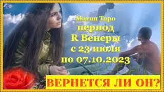 Вернётся ли ваш любимый в период ретро Венеры?