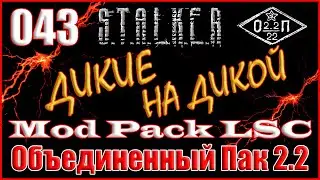 НАЧАЛО СЮЖЕТА ПРОЕКТ СПРЕЯ 