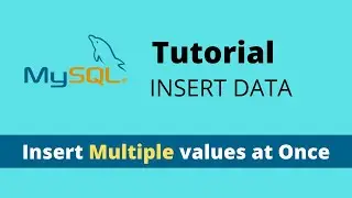 How to insert data in MySQL table - MySQL Tutorial