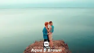 Aqua And Brown LUT Free Download | VN Video Editor | Premiere Pro