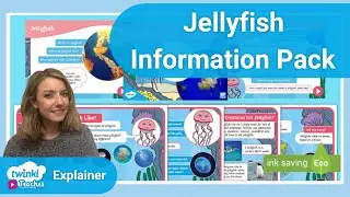 All About Jellyfish Information Pack