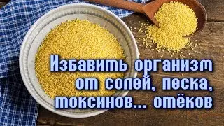 ИЗБАВИТЬСЯ ОТ ОТЁКОВ, ОЧИСТИТЬ ПОЧКИ, МОЧЕПОЛОВУЮ СИСТЕМУ, КРОВЬ