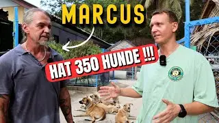 Thailand Auswanderer Doku: Der Mann mit den 350 Hunden | Koh Samui