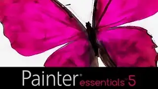 Painter Essentials 5 Particle Brushes