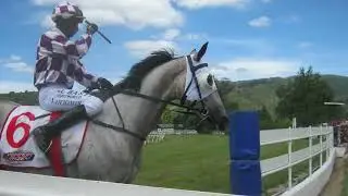 The Progressive Two Year Old Horse System #bettingsystem