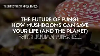 The Future Of Fungi: How Mushrooms Can Save Your Life (And The Planet) W/ Julian Mitchell #255