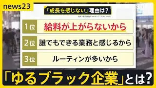 民間企業で働く人の給与は平均460万円で3年連続増　ただ男女格差は拡大 “ホワイトすぎて自分の成長を感じない”「ゆるブラック企業」とは？【news23】｜TBS NEWS DIG