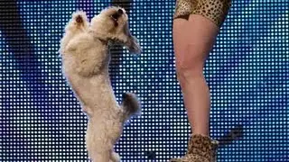 Ashleigh and Pudsey - Britains Got Talent 2012 audition - UK version