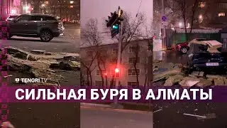 Алматы в центре бури