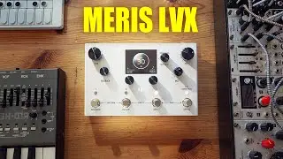 This Could Be The BEST DELAY of 2022  [ Meris LVX ]