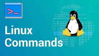 Basic Linux Commands for Beginners