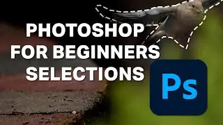 Photoshop for Beginners  - Lesson 4 - Selections