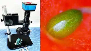 4K digital microscope HDMI for electronics soldering, repair and the Moon