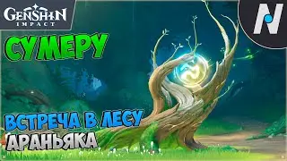 Варуна-гата. Дети леса. Журнал лесных приключений | Genshin Impact