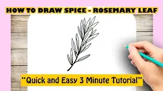 HOW TO DRAW SPICE - ROSEMARY LEAF