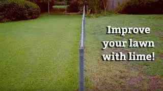 Applying Lime Treatments to your Lawn -- Expert Lawn Care Tips