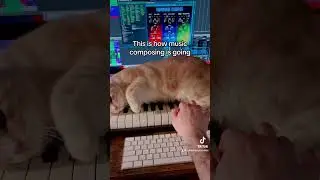 This is how music composing is going