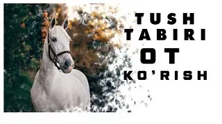 Tushda Ot Korish Tabiri