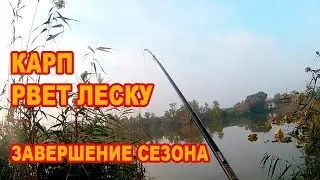 КАРП РВЕТ ЛЕСКУ /// Рыбалка на кубани 2021 /// Выпуск № 18