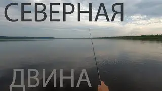 Рыбалка на Северной Двине. Вибы и чабики.