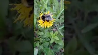 вот и лето пришло...