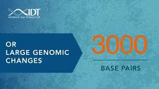 Introducing Alt-R™ HDR Donor Blocks - Built for homology-directed repair experiments