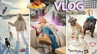 BIG VLOG💞 День Рождение Фуни, мини ПУТЕШЕСТВИЕ, Убираем Елку, DJI Osmo Pocket и Ozon, COOKING 🍝