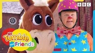 Amazing Animal Adventures | Mr Tumble and Friends