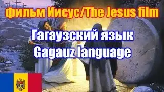 Фильм 