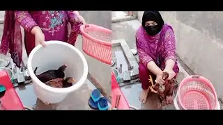 How to slaughter a desi chicken(By Women)