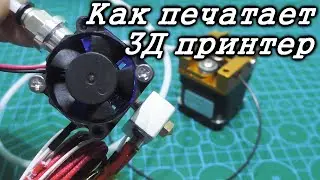 Как работает 3Д принтер. Устройство 3Д принтера и принцип работы