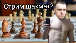 Папич про шахматы