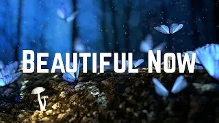 Zedd - Beautiful Now ft. Jon Bellion (Lyrics)