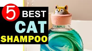 Best Cat Shampoo 2024 🏆 Top 5 Best Cat Shampoo Reviews