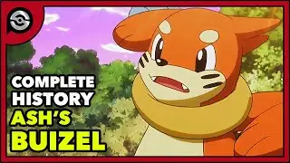 Ashs Buizel: From Dawn to BRAWN | Complete History