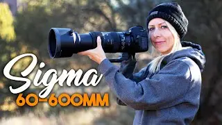 Sigma 60-600 mm lens FIRST IMPRESSIONS for wildlife photography, landscapes & more