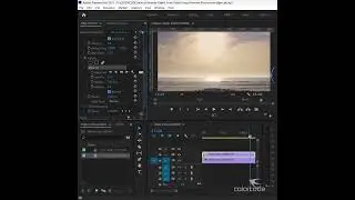 How to Easily Remove Object from Video Using Adobe Premiere Pro