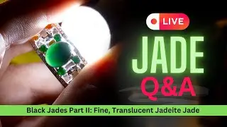 BLACK JADE | GLOWING Black Jadeite Jade (ft. Jades from Mason-Kay Jade Jewelry)