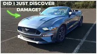 Mustang GT Convertible Outside Walkaround + finding body damage?!