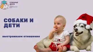 Собака и ребенок. Как наладить взаимоотношения
