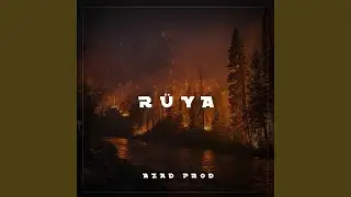 Rüya