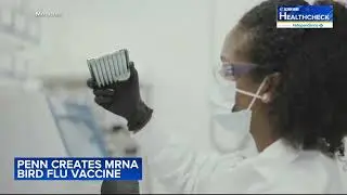 University of Pennsylvania creates MRNA bird flu vaccine