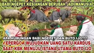 VIRAL!!! TANGKAP PESUGIHAN BABI NGEPET JADI MANUSIA BAWA UANG ASLI SATU KARDUS