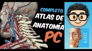 🧠Human Anatomy Atlas - Atlas de la ANATOMIA HUMANA Full 2022 COMPLETO PC - Tutorial Tecnologia💪🦵🦷👁️